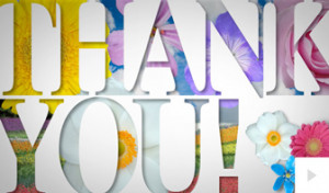 Thank You 13