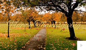 Fall's Arrival