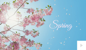 Spring Greetings 1