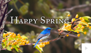 Spring Greetings 3