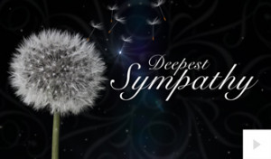 Sympathy 04