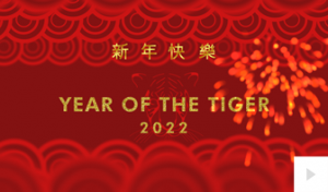 Chinese New Year 02