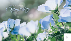 Sympathy 01